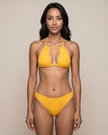 Golden Rib Curve Bottom